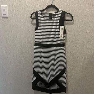 Business dress with fun hemline